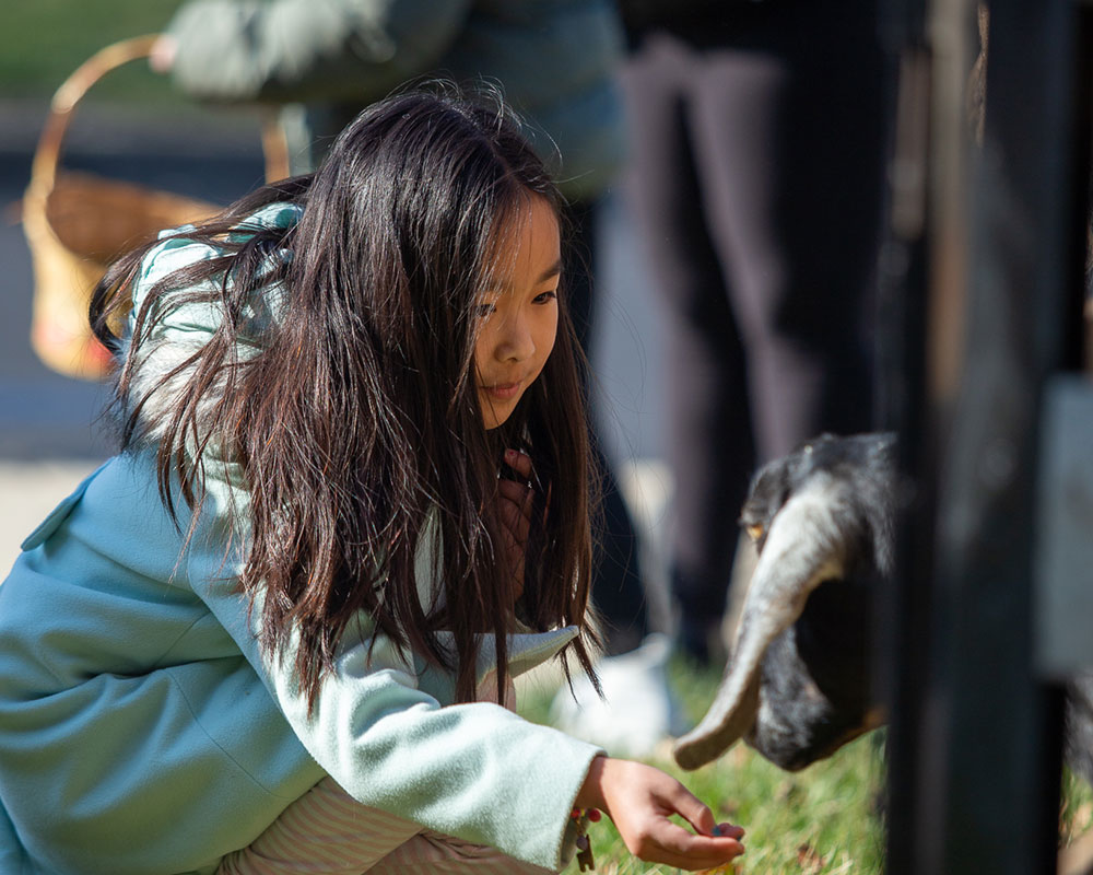 Eggstravaganza2024_Image