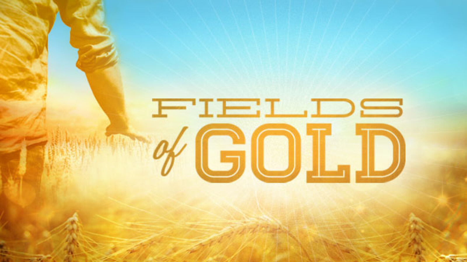 Fields of Gold